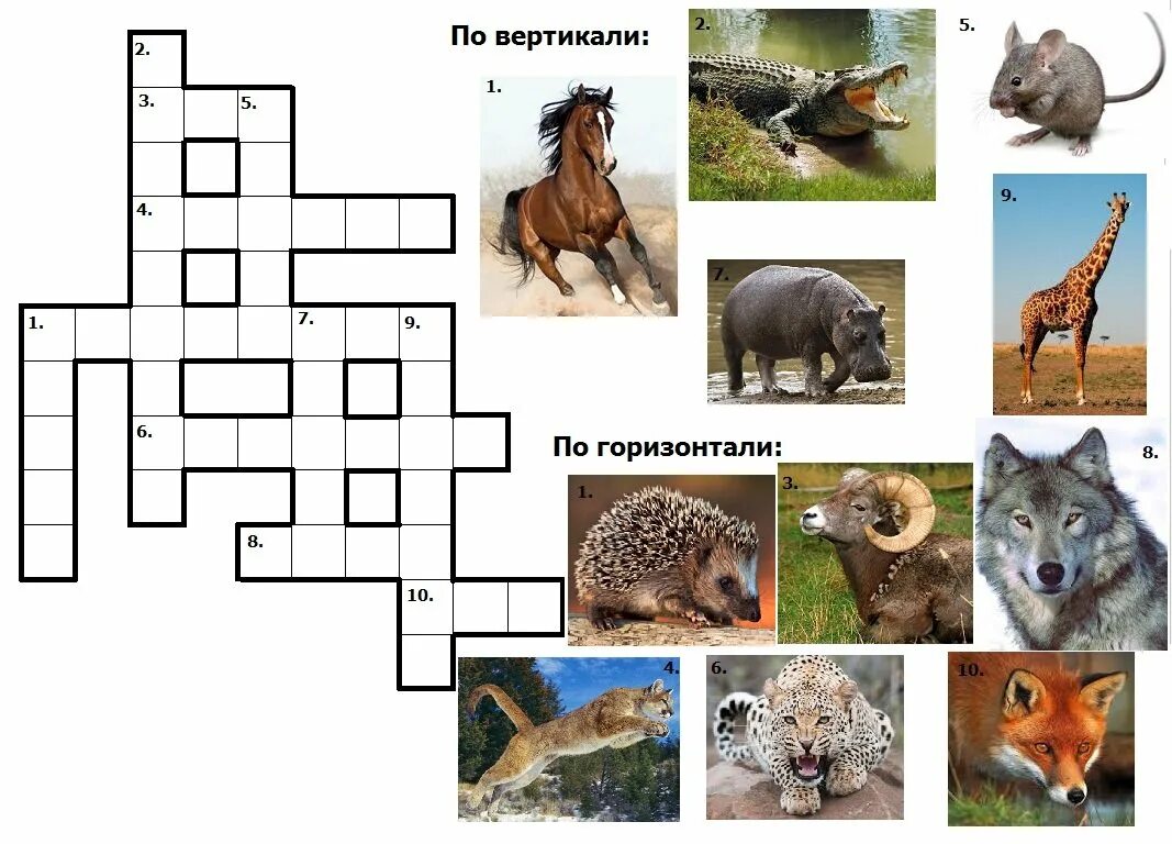 Кроссворд на тему животные 6 класс. Кроссворд про животных. Кроссворд животные для детей. Кроссворды с животными для детей. Кросврдпро животных.