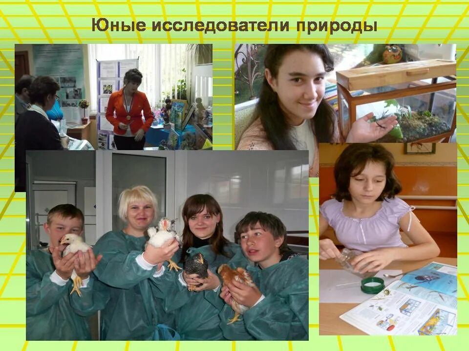 Программы юный исследователь. Юный исследователь. юные исследователи природы. юные исследователи картинки. юные исследователи информация.