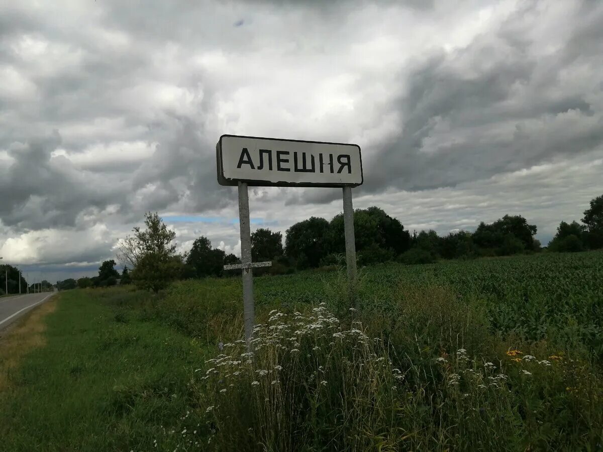 Зовут села. Название сел. Алешня Тульская область. Деревня алёшня. Алешня Калужская область.