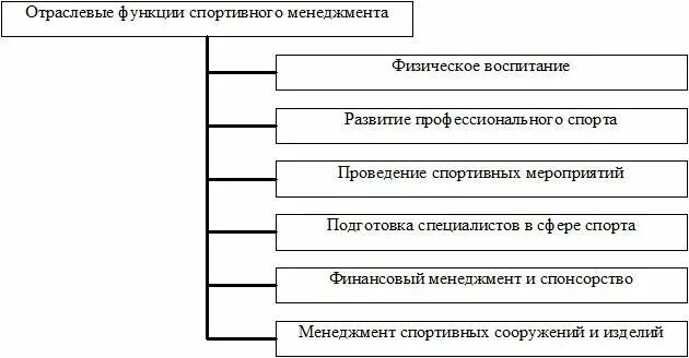 Какие функции спорта. Функции спортивного менеджмента. Функции управления в спортивном менеджменте. Функции спортивного менеджера. Отраслевые функции спортивного менеджмента.