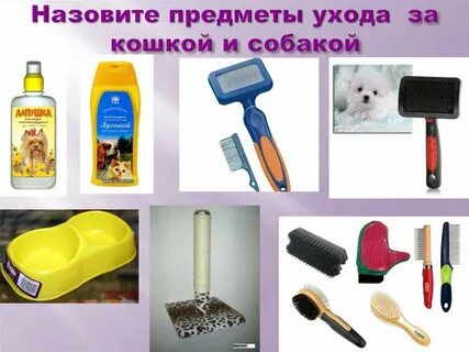 Предметы для ухода за домашними животными нарисованные