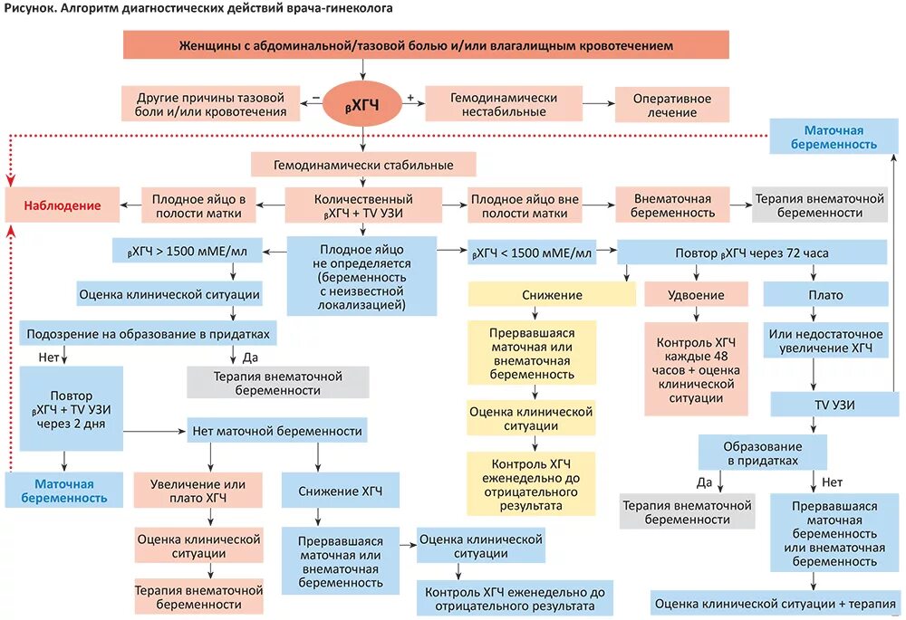 Беременность после внематочной отзывы. Алгоритм обследования внематочная беременность. Внематочная беременность тактика алгоритм. Внематочная беременность план обследования. Внематочная беременность алгоритм оказания неотложной помощи.