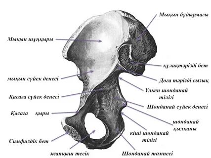 Би секс видео