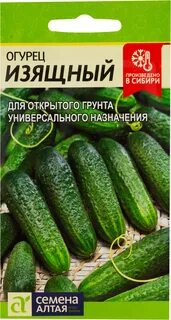 Семена алтая прямо