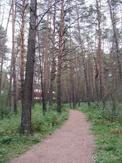 Чернолучье омская