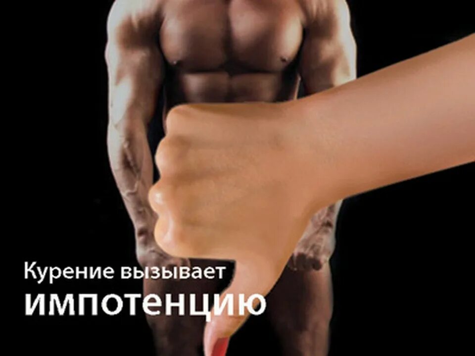 Вызывает потенцию