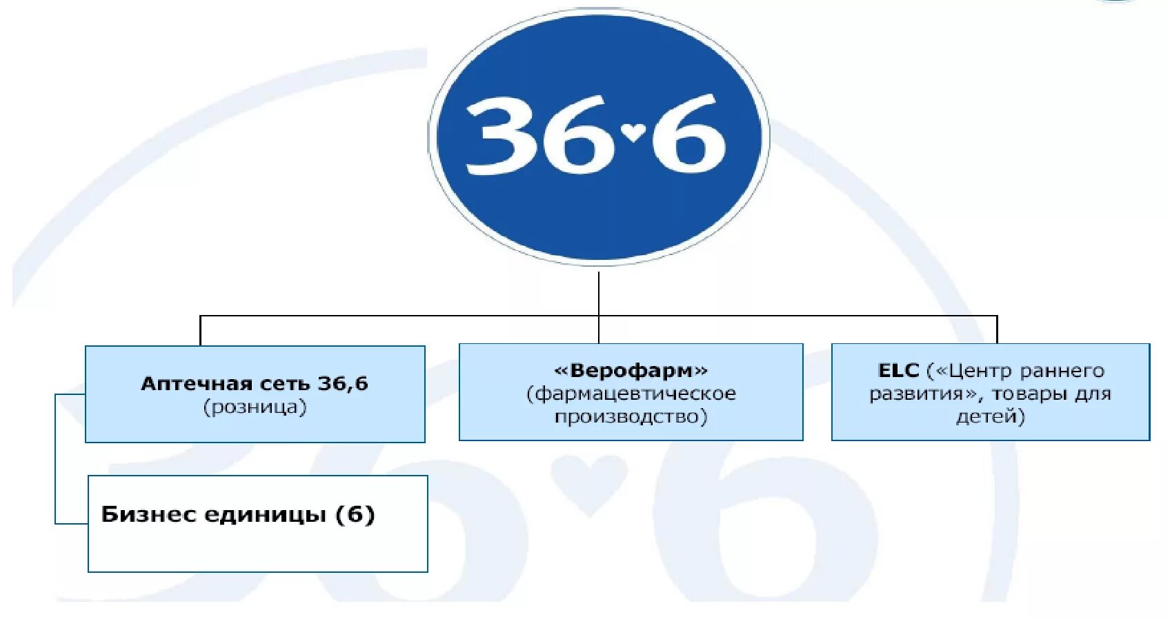 Организационная структура аптеки 36.6. Структура аптечной сети 36.6. Организационная структура аптечной сети. Аптека 36.6 структура организации. Структура аптечной