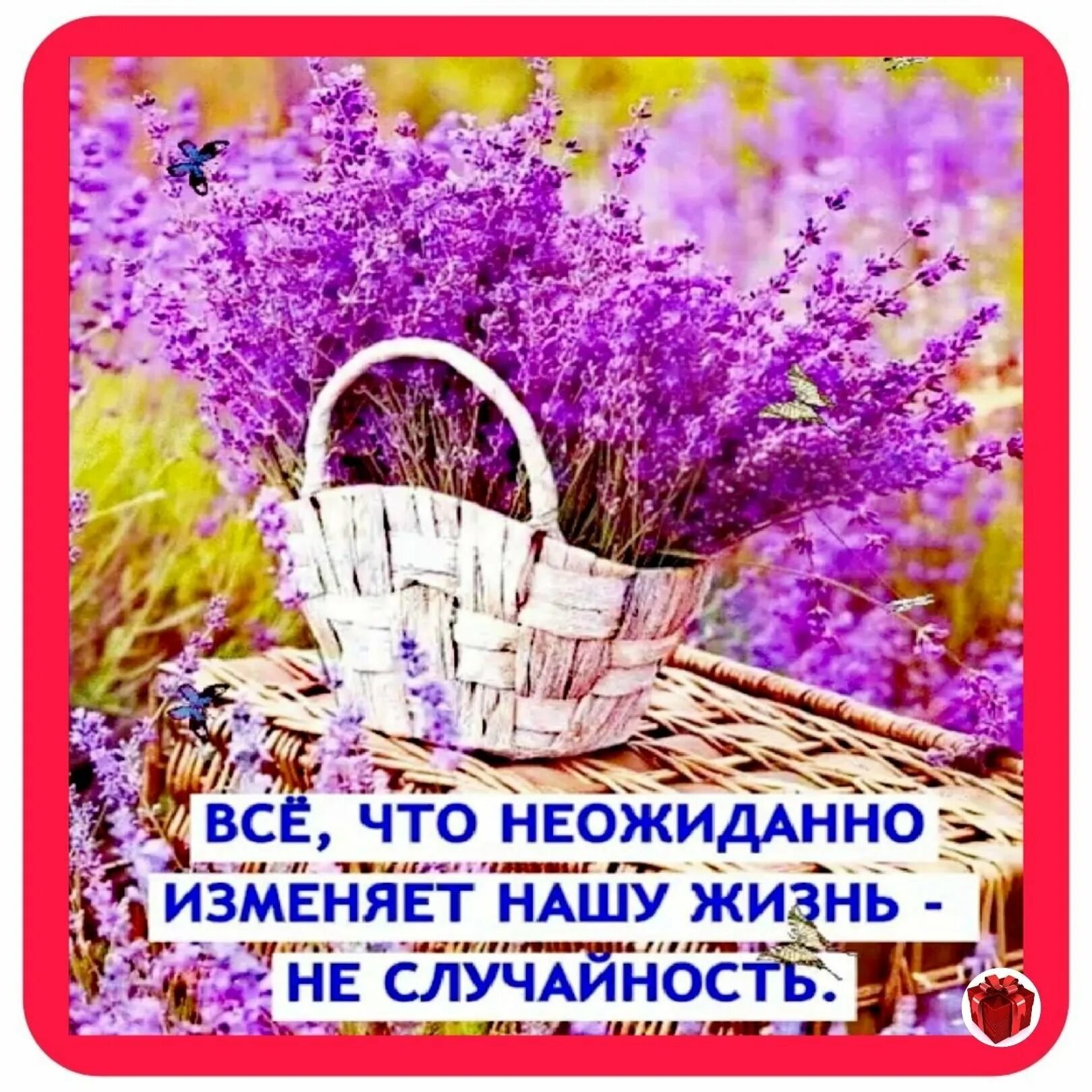 Пусть тебе в жизни все удается. Пусть маленькие радости складываются в счастливую. Радости в каждом дне. Открытки пусть маленькие радости делают приятным каждый день. Открытки радости в каждом дне.