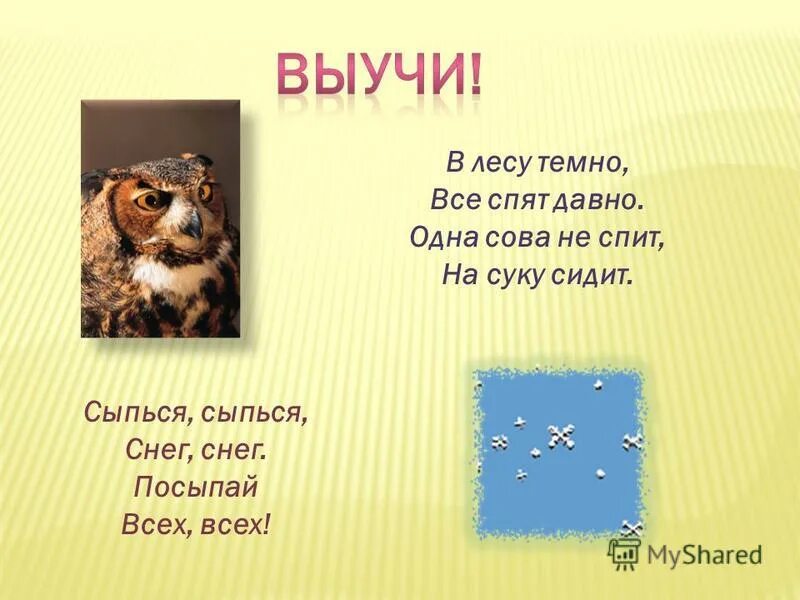 На сухих сучках любят