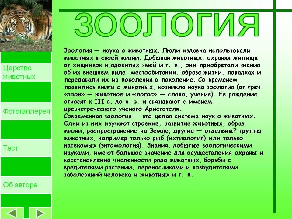 В животном царстве существует несколько веществ. Зоология это кратко. Современная Зоология. Доклад про зоологию. Доклад Зоология наука о животных.