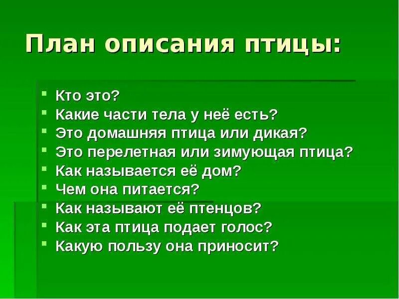 План описания птицы. Описание птицы по плану. План описания картинки. План описания птицы 2 класс. План описания картинок 7 класс