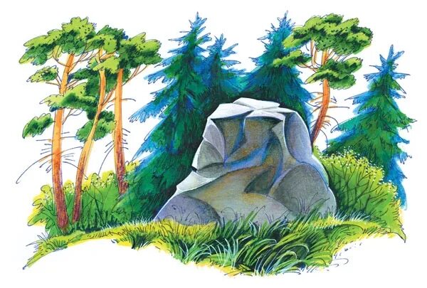 Коты воители. Коты воители скала. Скала из котов воителей. Собрание племени коты воители скала. Лагерь коты воители арт.