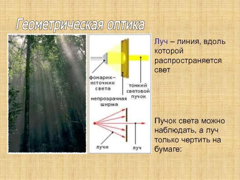 Источники света распространение света. Световой Луч это линия вдоль которой распространяется свет. Прямолинейное распространение света. Источники света распространение света для презентации. Источники света распространение света 8 класс