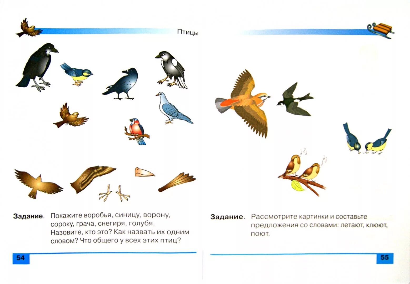 Задания про птиц. Птицы задания. Птицы задания для дошкольников. Перелетные птицы задания для детей. Птицы весной задания для дошкольников.