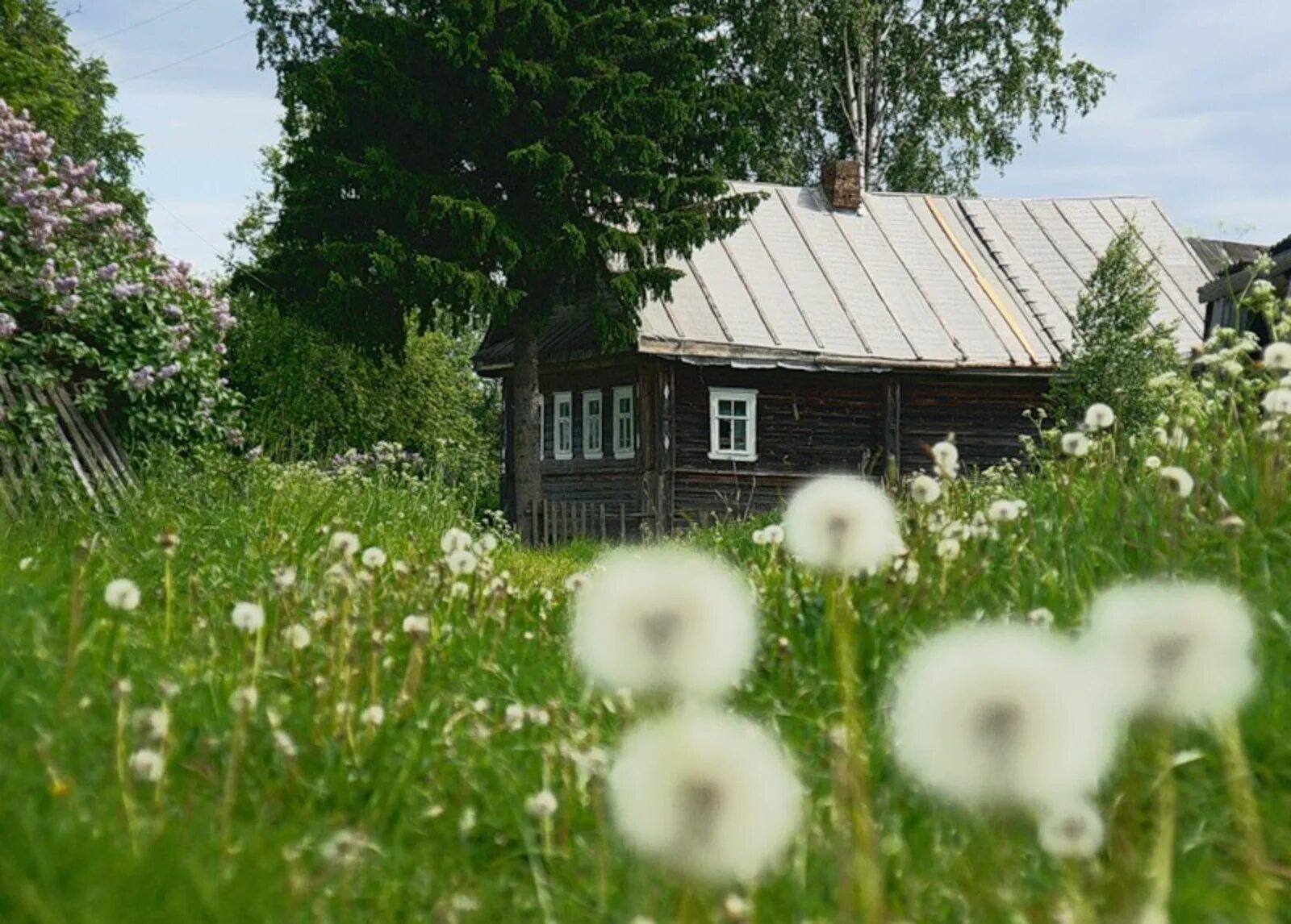 Песня родной дом где там далеко. Лето в деревне. Деревенский домик. Деревенский домик детства. Родной дом в деревне.