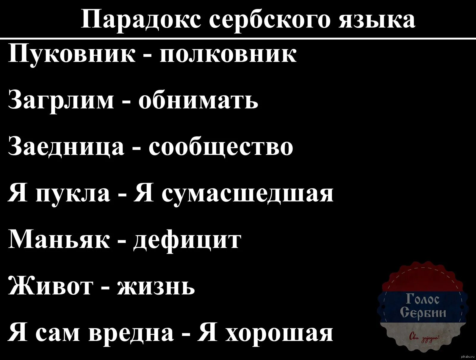 Русский язык в сербии. Сербский язык. Смешные фразы на сербском языке. Сербский язык смешные слова. Прикольные слова на сербском языке.