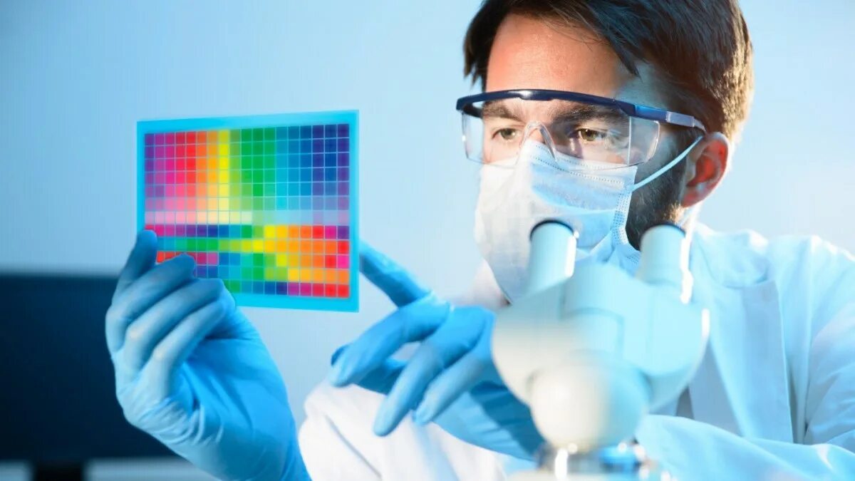 согласно исследованиям ученых