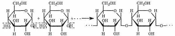 Взаимодействие крахмала с йодом реакция. Комплексное соединение амилозы и амилопектина с йодом. Формула взаимодействия крахмала с йодом. Крахмал с йодом реакция структурная формула.
