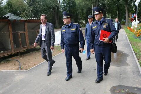 Погода в лотошино на 14