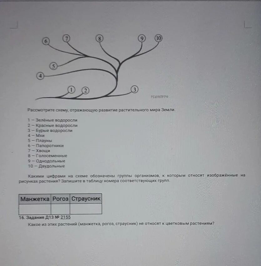 Рассмотрите схему отражающую развитие растительного мира. Рассмотри схему отражающую развитие растительного мира земли. Схема растительности мира земли. Рассмотрите схему отражающую развитие растительного. Схема эволюции растений 7 класс.