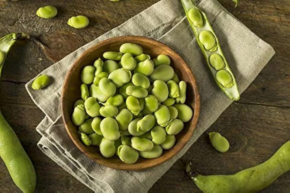 Mock bean