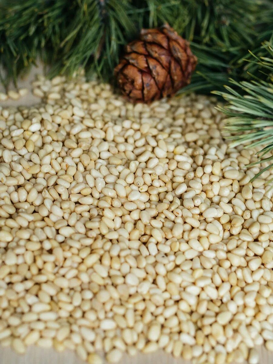 Кедровые шишки. Сибирский кедр орехи кедровые. Кедровые орешки из шишек. Скорлупа кедрового ореха. Кедр сибирский шишка семена.