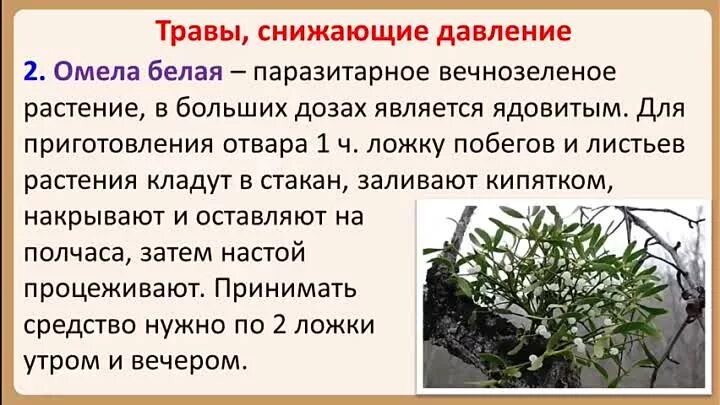 Растения понижающие