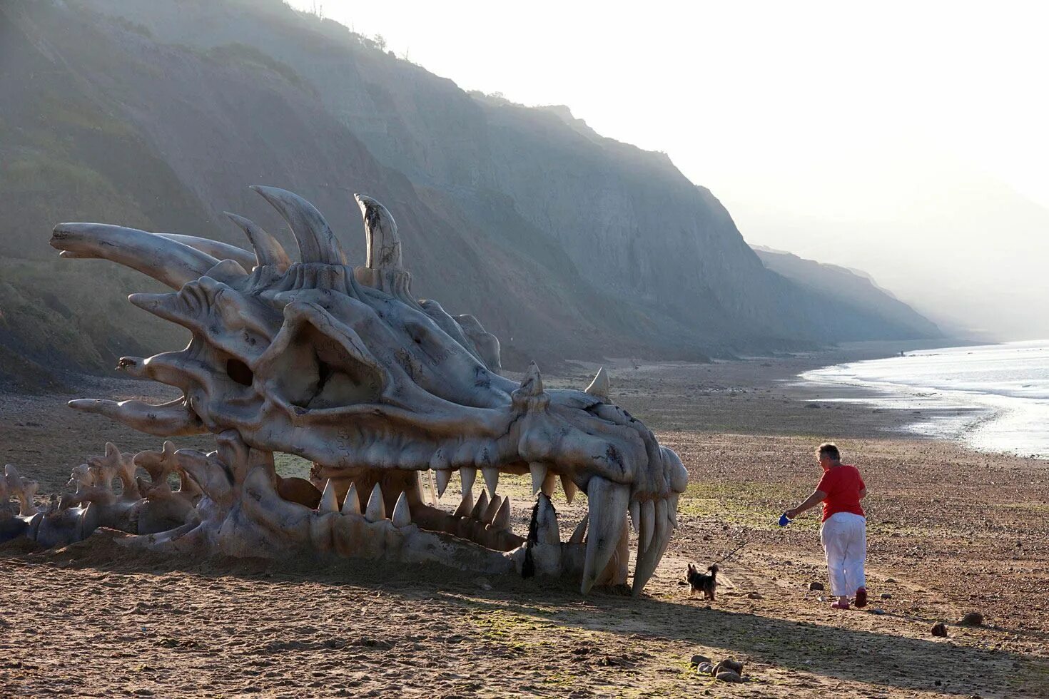 Существует ли место на земле. Юрское побережье череп дракона. Драконы в реальной жизни. Дракон настоящий. Китайский дракон в реальной жизни.