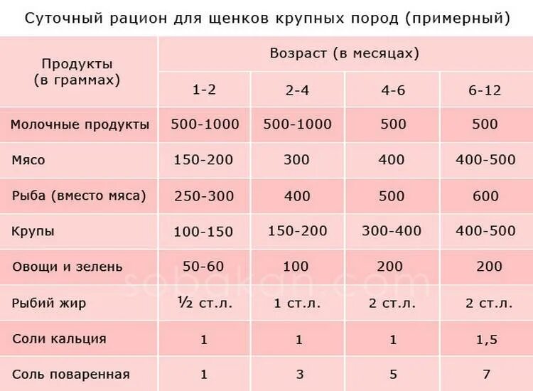 Сколько раз кормить щенка в 1 месяц. Сколько раз надо кормить щенка в 5 месяцев. Кормление 2 месячного щенка сколько корма давать. Рацион питания щенка 3 месяца. Рацион щенка немецкой овчарки щенка 2 месяца.