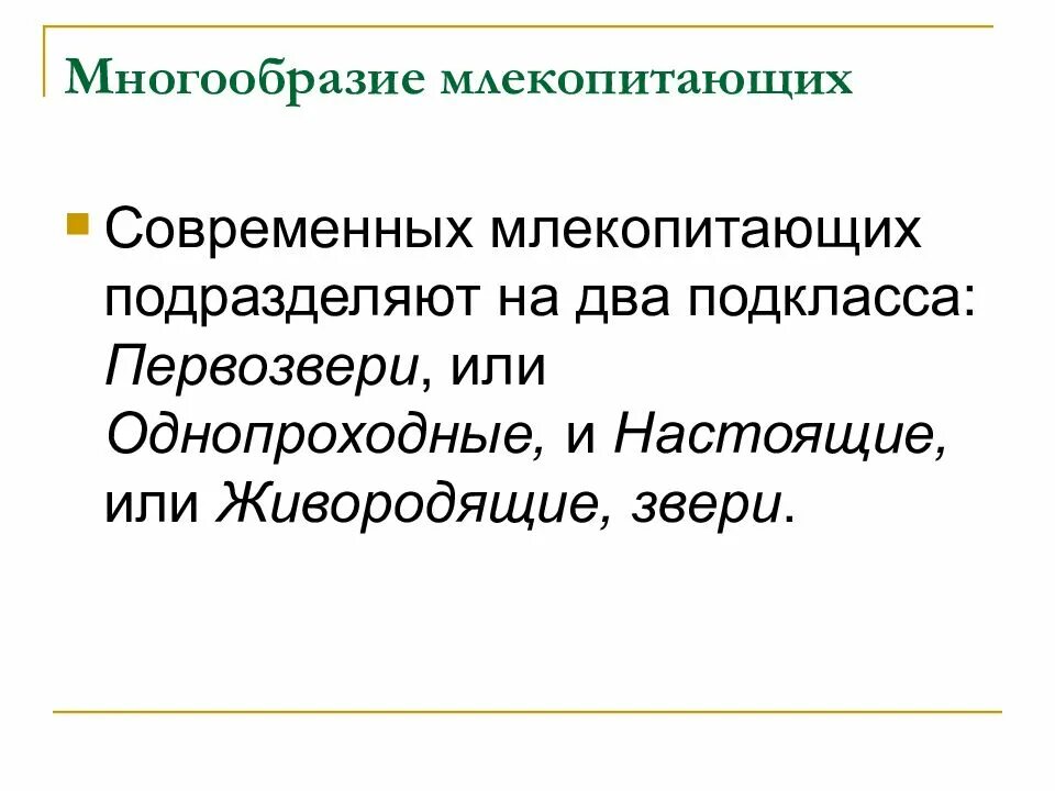 Разнообразие млекопитающих 7 класс презентация. Разнообразие млекопитающих. млекопитающие презентация. происхождение млекопитающих презентация. разнообразие млекопитающих 7 класс.