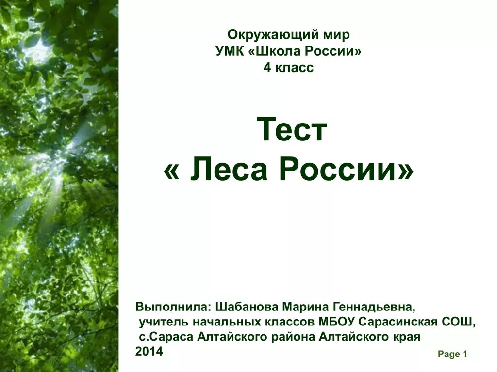 Тест лесные зоны россии. Тест леса России. Леса России окружающий мир 4 класс школа. Леса России 4 класс школа России окружающий мир Плешаков. Тест по окружающему миру 4 класс леса России.