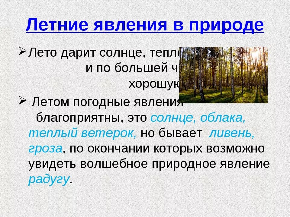 Какие явления можно наблюдать в живой природе. Летние явления в неживой природе. Летние явления в живой природе. Явления природы летом в неживой природе. Сезонные явления природы лето.