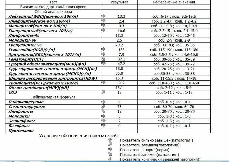 Биохимия какие анализы сдать. Лабораторные исследования крови таблица. Реферальеые значения биохимии крови. Биохимический анализ крови референсные значения. Референтные значения общего анализа крови таблица.