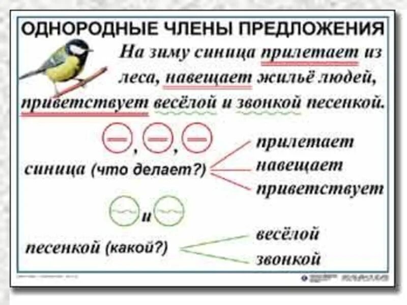 Предложения с однородн членами. Карточки русский язык 4 класс однородные