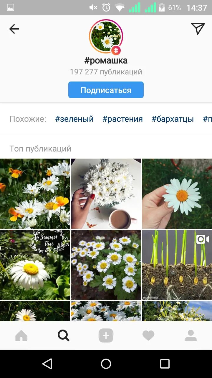 Что значит публикации в инстаграме