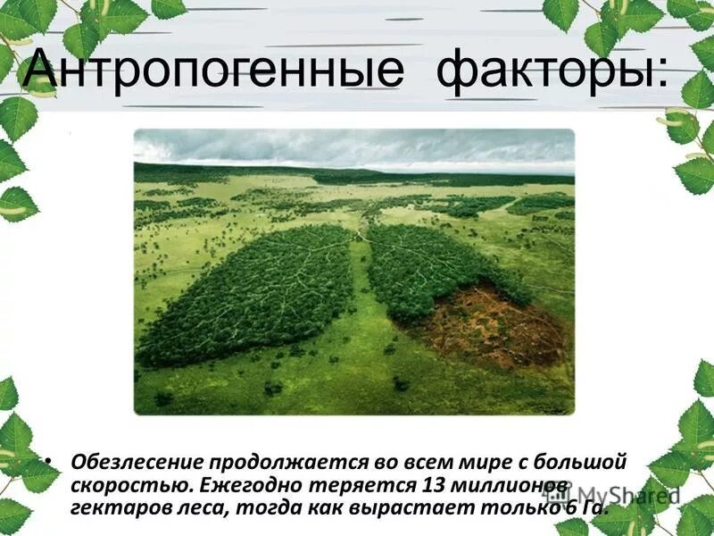 Антропогенное воздействие на растения. Антропогенные факторы биология 9 класс. Биологические антропогенные факторы. Антропогенные факторы среды примеры. Антропогенные факторы это в биологии.