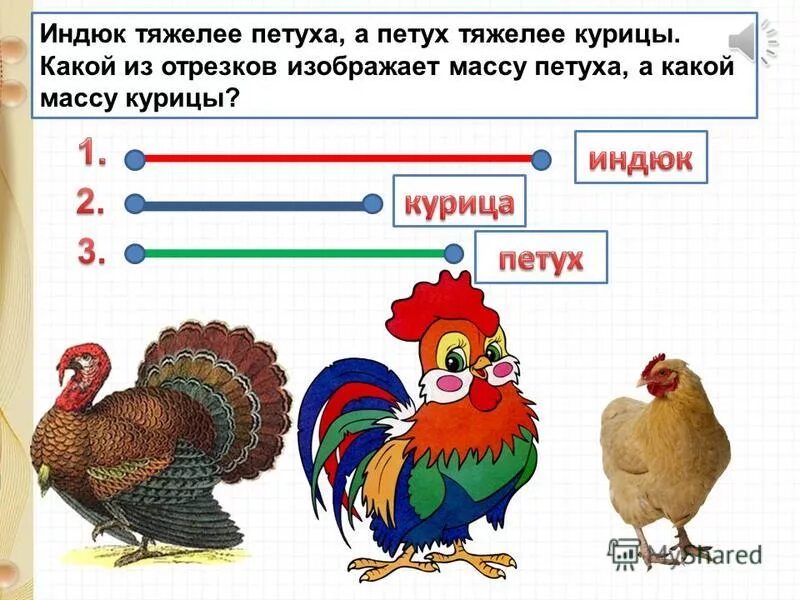 Описание петуха. Год петуха по годам. Петух какое число. Люди рожденные в год петуха характеристика. Предложение про петухов.