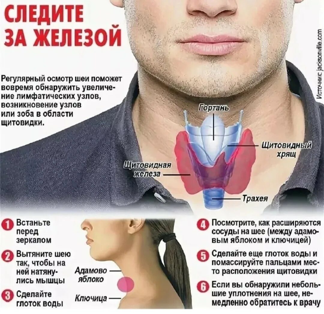 Щитовидная железа лечение у мужчин и профилактика. Воспаление щитовидной железы у мужчин. Щитовидная железа симптомы. Щитовидная железа симптомы заболевания.