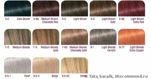 Игора оттеночный. Мусс Schwarzkopf Igora Expert палитра. Schwarzkopf professional мусс Igora Expert палитра. Тонирующий мусс игора палитра цветов. Schwarzkopf professional Igora Expert Mousse палитра.