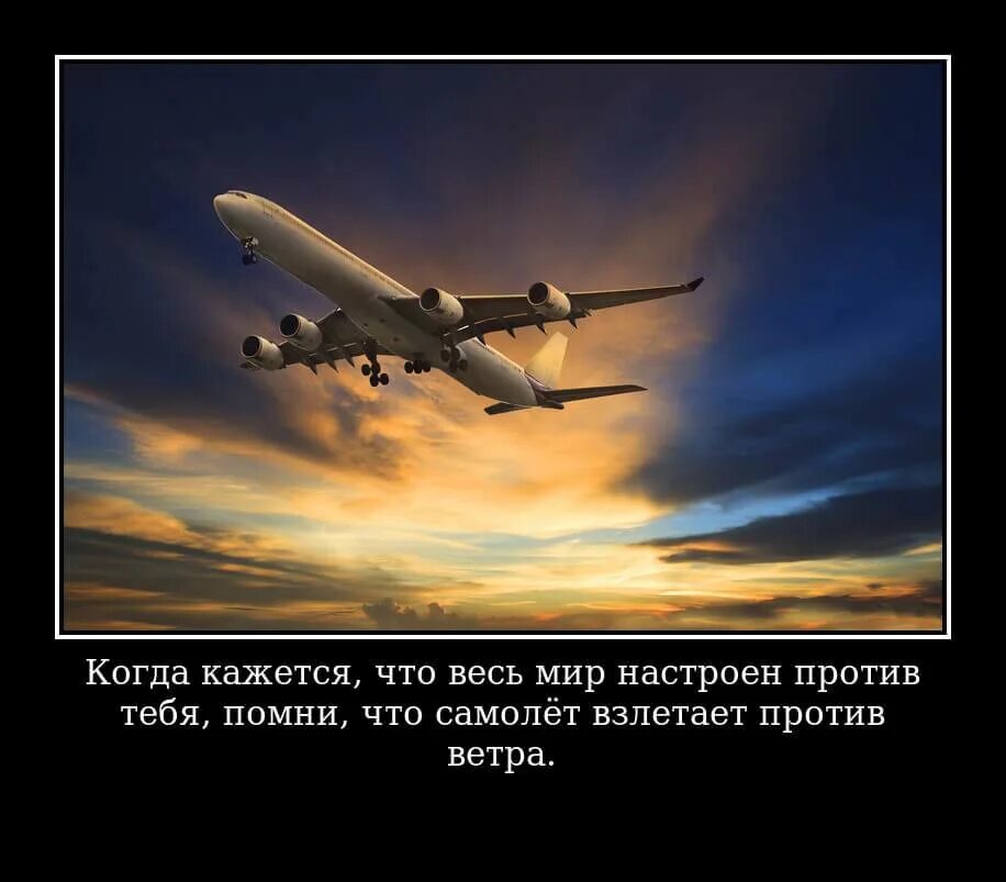 Изображение не требует описания