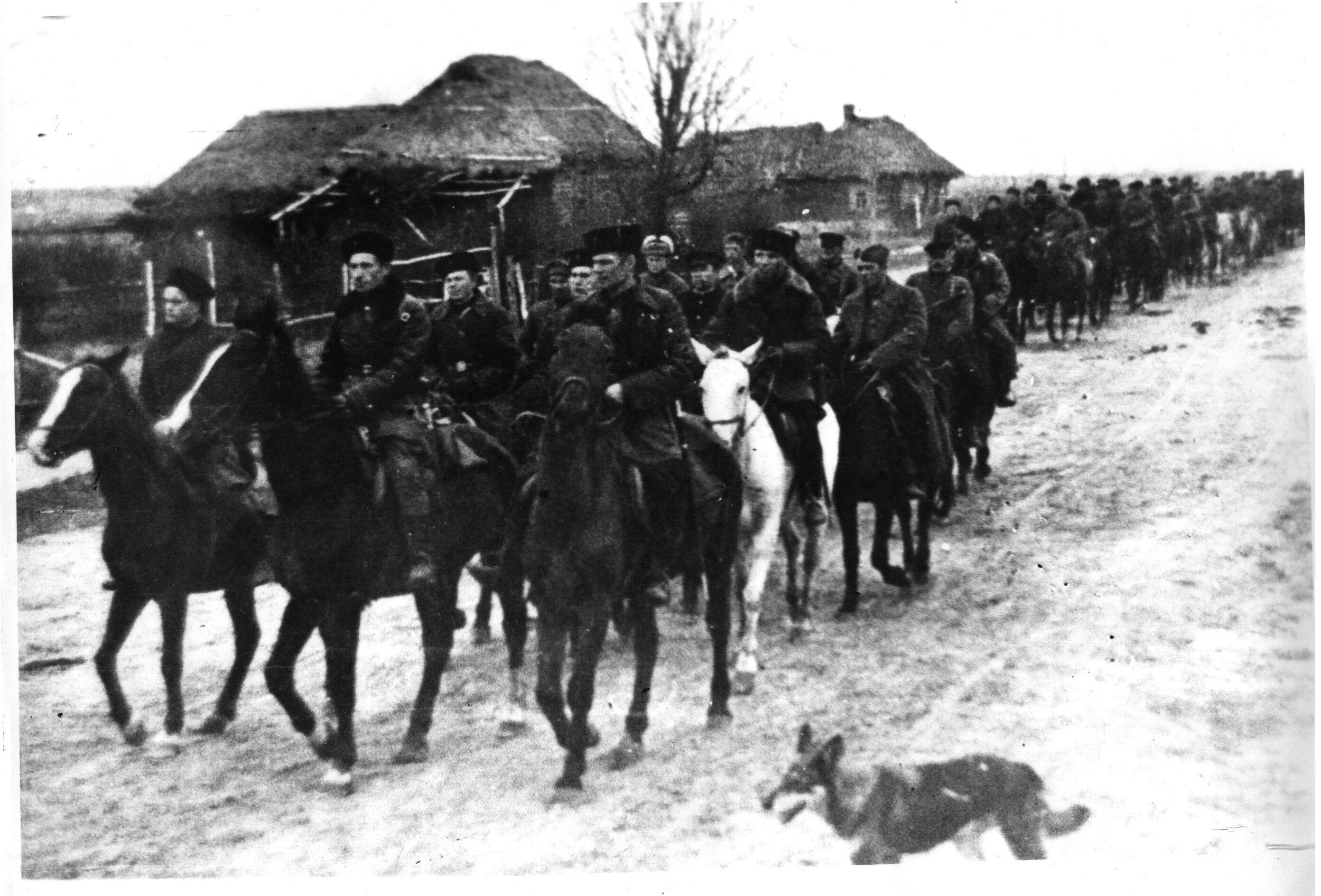 Пятеро партизан. Первая Клетнянская Партизанская бригада. Клетнянский Партизанский отряд. 5 Партизанская бригада. 5 Партизанская бригада Ленинградского фронта.