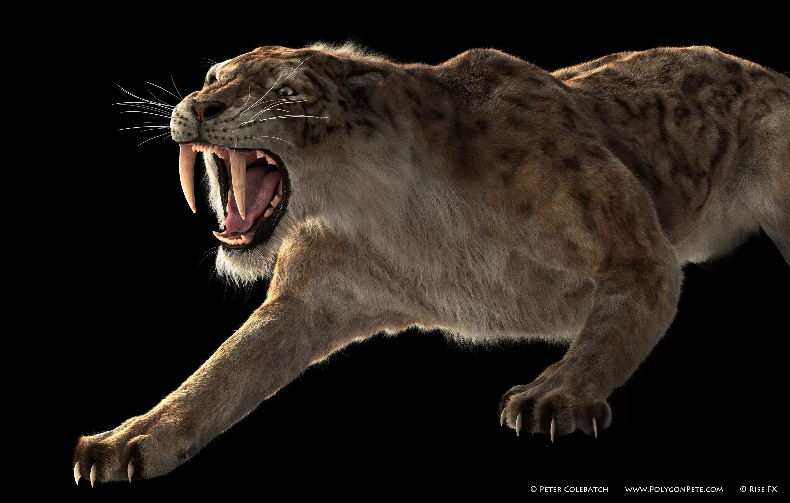 Cмилодон (саблезубый тигр). Saber tooth tiger. махайрод смилодон. махайрод смилодон. саблезубые тигры смилодоны.