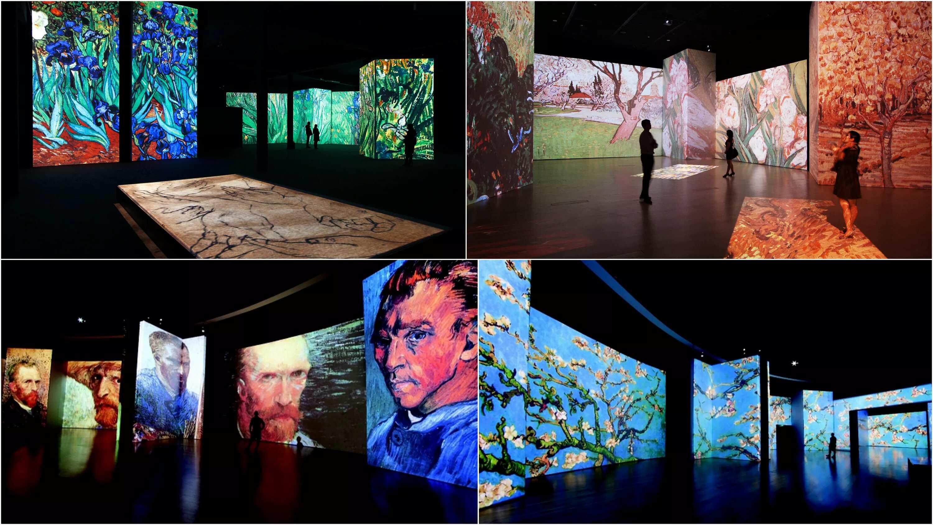 ван гог выставка где. москва ван гог тео. ван гог пушкинский музей изобразительных искусств в москве. артплей ван гог. ван гог выставка где.