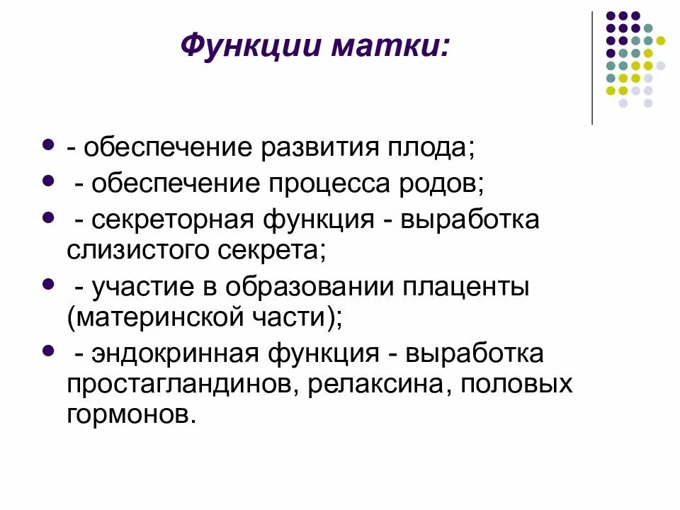 Строение и функции женских органов. Матка строение и функции. Основные функции матки. Функции матки кратко.