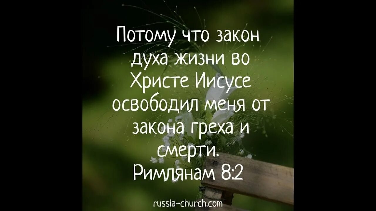 закон греха. закон греха. цитаты из библии о жизни. закон духа жизни во христе иисусе освободил. нет ныне никакого осуждения тем которые.