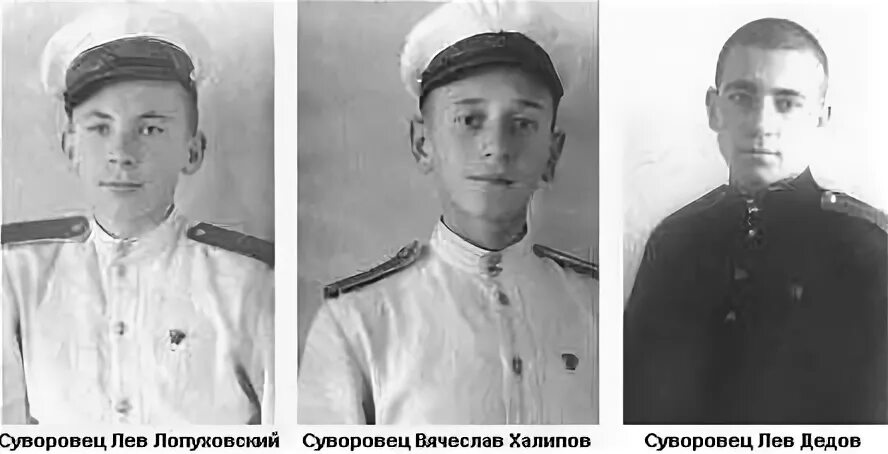 Лев дедов