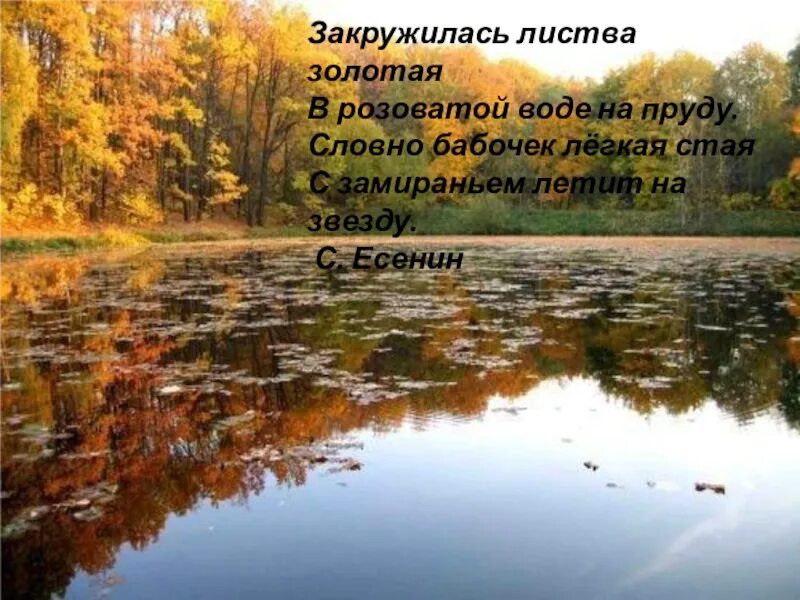 Розоватой воде на пруду. Есенин листва Золотая. Закружилась листва Золотая Есенин. Есенин закружилась листва.