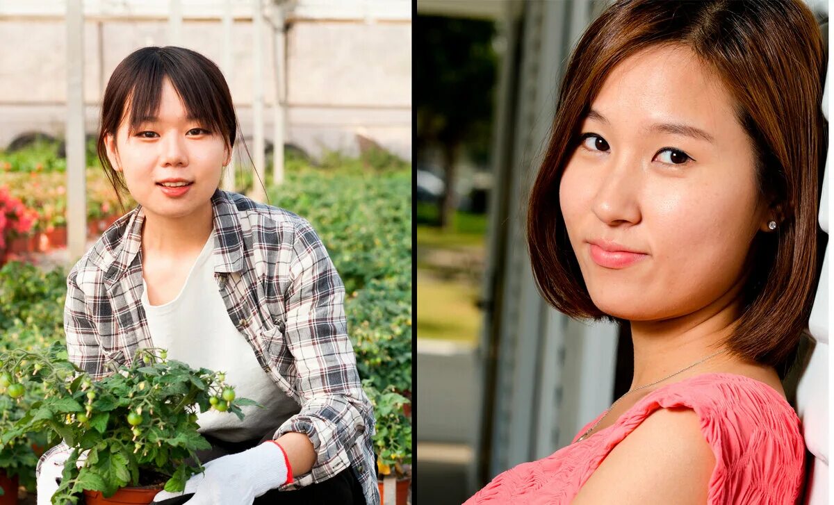 Японец китаец кореец разница. Корейцы и китайцы отличия. Японцы и китайцы отличия. Китайцы корейцы и японцы. Китайцы и японцы.