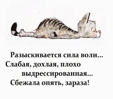 Опять убежала