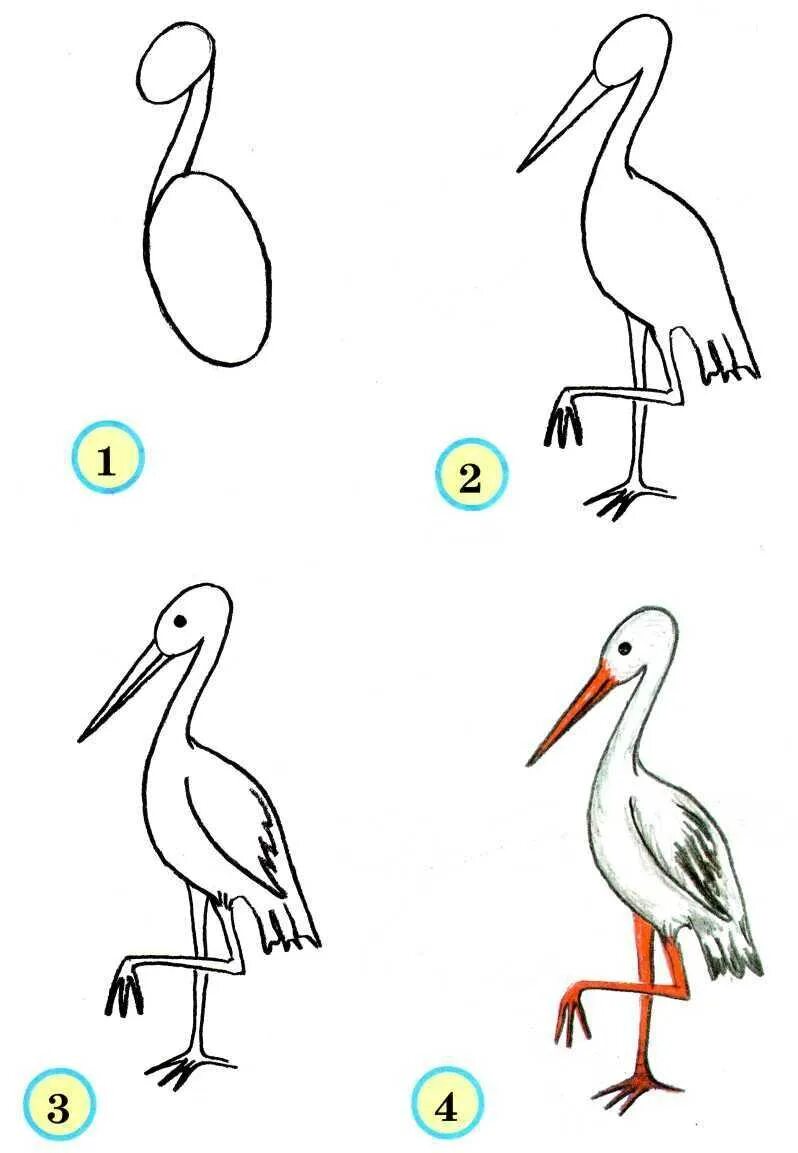 Поэтапное рисование птиц. Поэтапное рисование птиц для детей. Аист рисунок. Рисование перелетные птицы. Нарисовать журавля поэтапно для детей